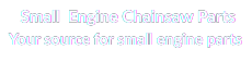 Small Engine Chainsaw Parts